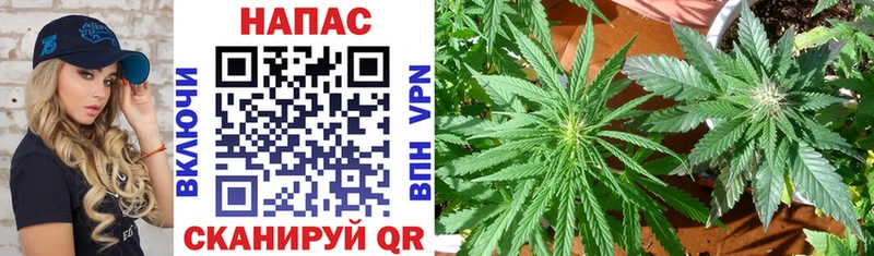 купить наркотик  кракен маркетплейс  Канабис Bruce Banner  Полтавская 